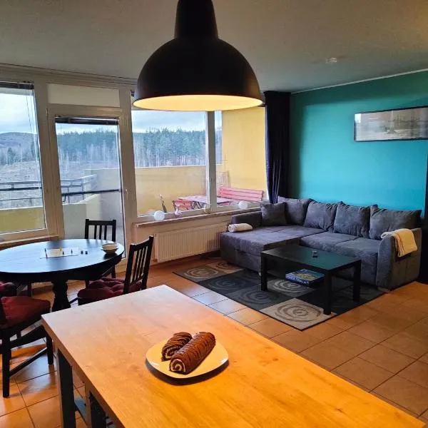Apartment Walpurgis mit toller Aussicht & Schwimmbad, hotel v destinaci Hohegeiß