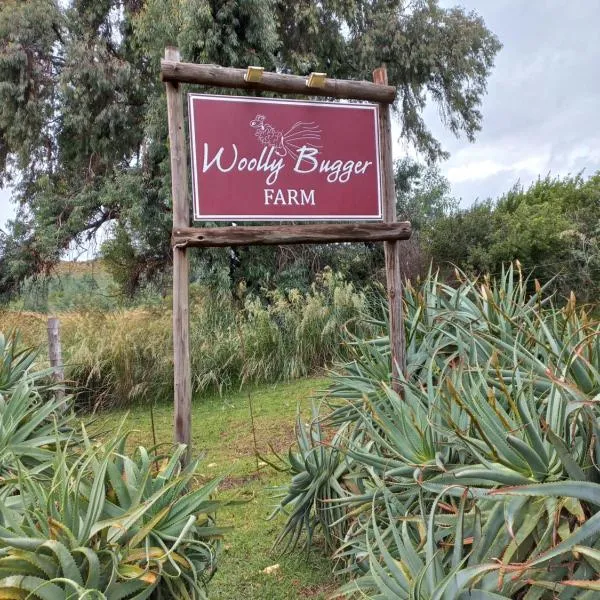 Woolly Bugger Farm, hotel v destinaci Tonteldoos