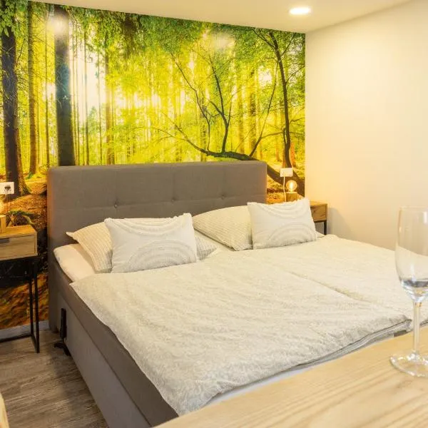 Pfeffer's kleine Ferienwohnung, hotel v destinaci Bad Lauterberg