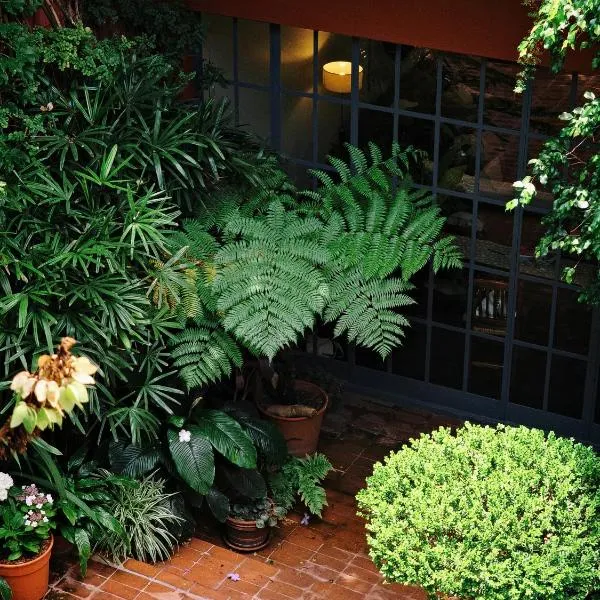 BE Jardin Escondido By Coppola, hôtel à Villa Progreso