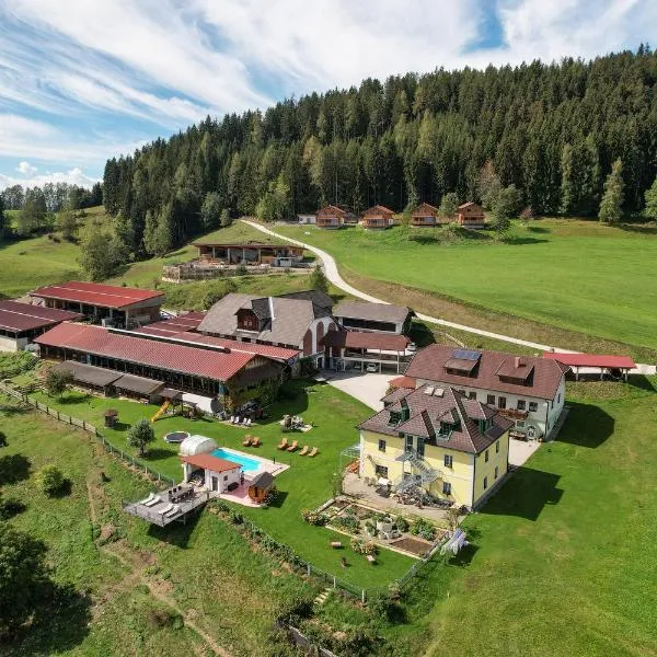 ERLEBNISBAUERNHOF Steinerhof in Kärnten, hotel v destinaci Liebenfels