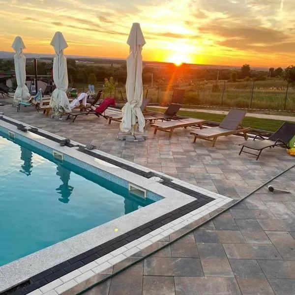 Complex Turistic Dávid, hotel v destinaci Boghiş