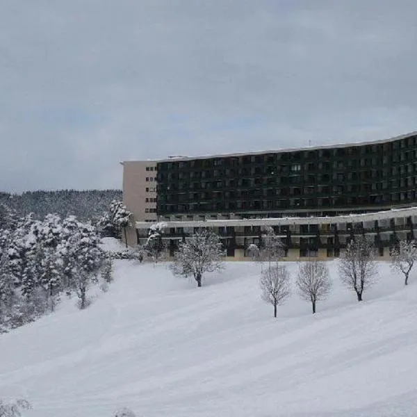 Grand Studio VILLARD DE LANS Les Glovettes, готель у місті Віллар-де-Лан