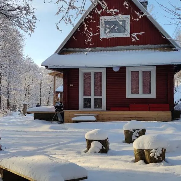 Chatky u potoka chatka n3, hotel v destinaci Olešnice v Orlických horách