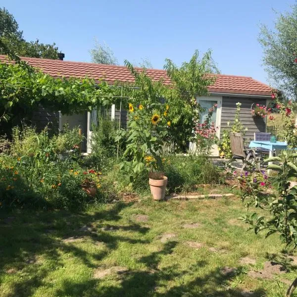 Rosa's zonnige huisje bij duinen bos en strand, hotel v destinaci Warmenhuizen