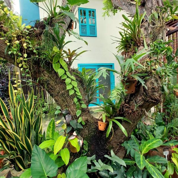 Casa Flor Jardim Tropical - Ponta Negra - Foto 5