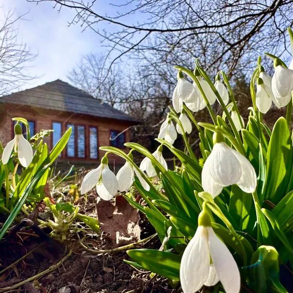 Козацька Фортеця, hotell sihtkohas Pliskachevka