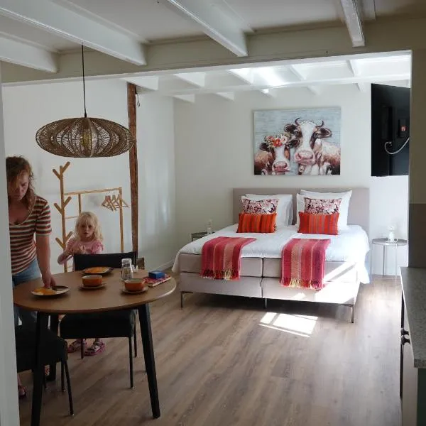 Terras kamer, hotell i Spang