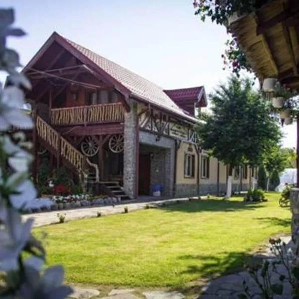 Pensiunea Dealu Morii, hotel in Cârțișoara
