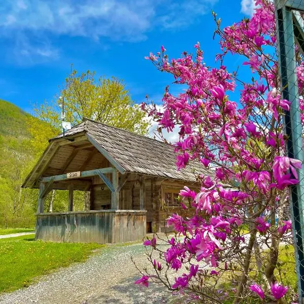 Camping Danica Cottage Stan, hôtel à Zgornja Sorica