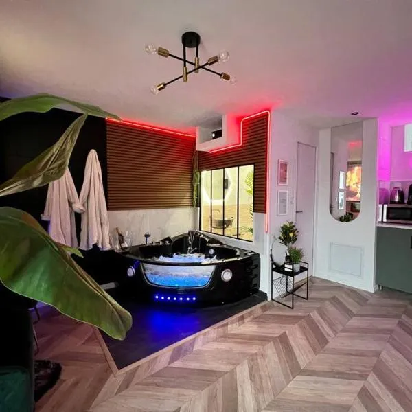 Black Love-room - Balnéo - Cinéma, hotel in Souppes-sur-Loing