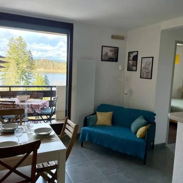 Beau Duplex, au bord du lac Saint-Point, khách sạn ở Malbuisson