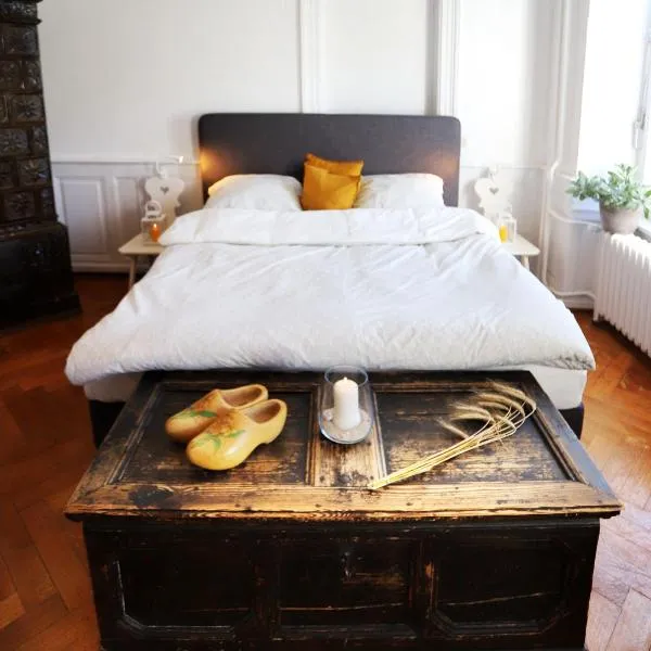 Magnetfels, hotel v destinaci Lenzkirch