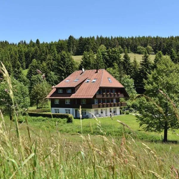 슐르흐제에 위치한 호텔 Hotel Hirschen