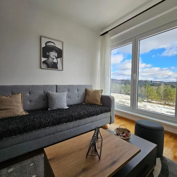 디브치바레에 위치한 호텔 Apartman Monika 2