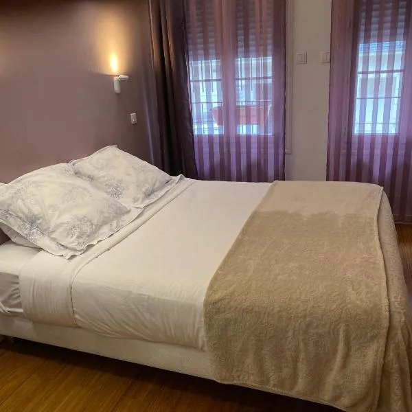 Hôtel Paris Gambetta: Paris'te bir otel