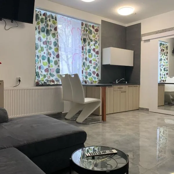 Apartamenty Św.Rocha, hotel v destinaci Białystok