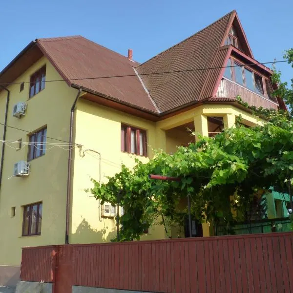 술리나에 위치한 호텔 Casa Maxim