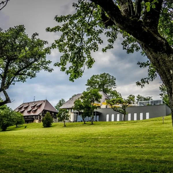 Hotel Hofgut Hohenkarpfen, hotel in Hausen ob Verena