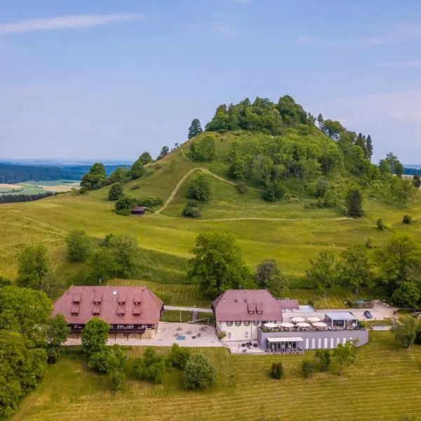 Hotel Hofgut Hohenkarpfen, hotel in Dürbheim