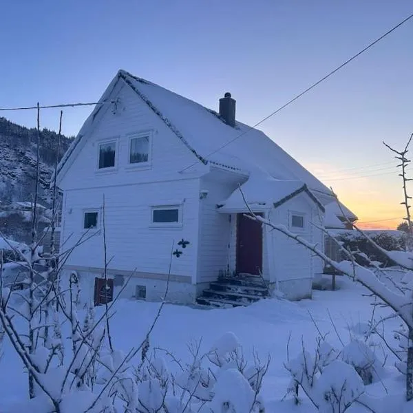 Stort, koselig hus i naturområde, hotel in Bergen