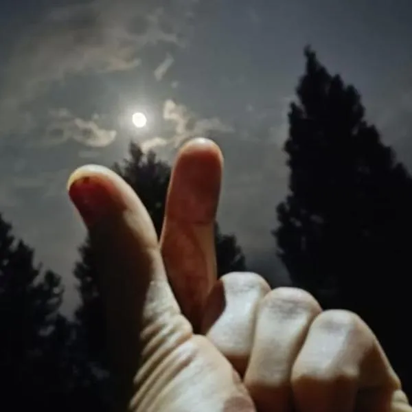 Shangri-La Peaceful stays, hotel sa Munsyari