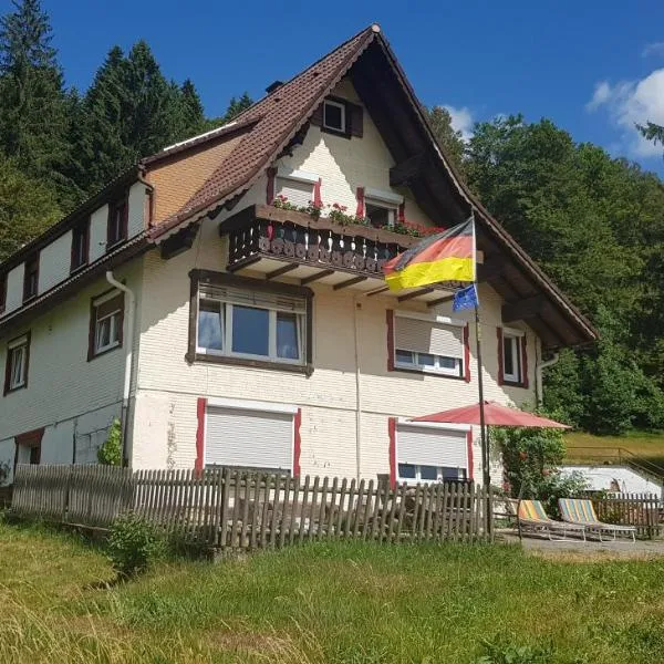 Ferienhof Ziegler - Studio Fingerhut, hotel in Baiersbronn