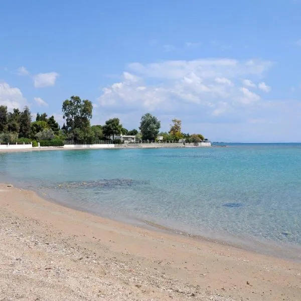 Angela's Seaview Apartment, hotel sa Lefkandi Chalkidas