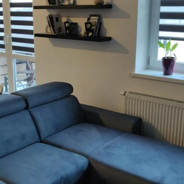 Apartament Turysty Zamczysko, hotelli kohteessa Szewnia