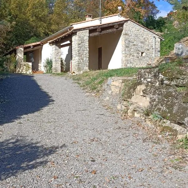 Gîte Au pied du grand cèdre, hotel in Vesseaux