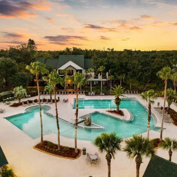 4BD 2 MI to USF Free Pool + 24 Hour Gym, hotel in Tampa