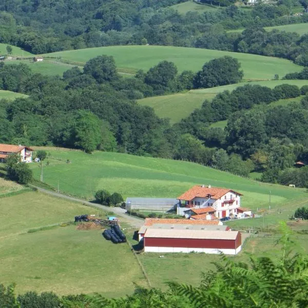 Etxexuriko Borda, hôtel à Ainhoa