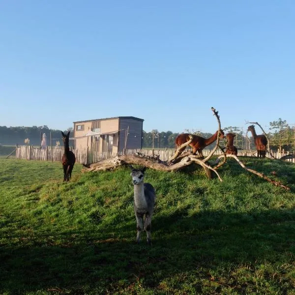 Tiny House Alpakablick - inklusive gratis Alpaka Meet & Greet, hotel in Borken