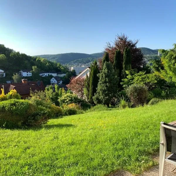 Appartement Abendsonne, отель в городе Ротенбург-на-Фульде