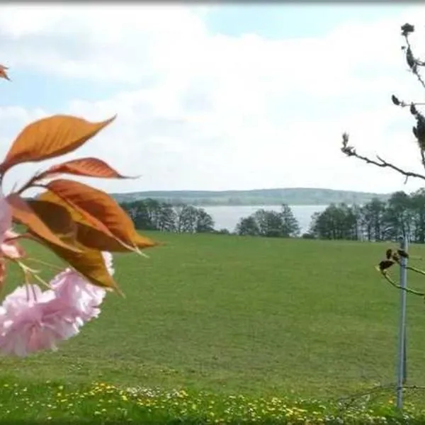 Ferienwohnung Mäckelborg am schönen Woblitzsee，位于韦森贝格的酒店