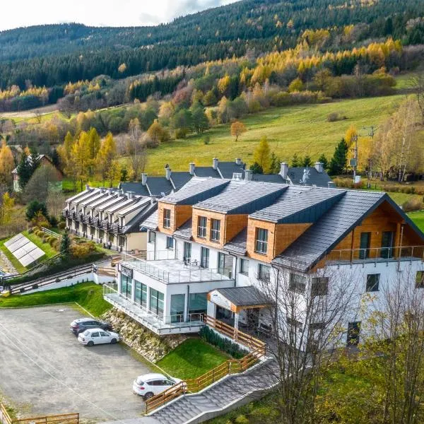 Hotel i Apartamenty pod Śnieżnikiem, hotel v destinácii Stronie Śląskie