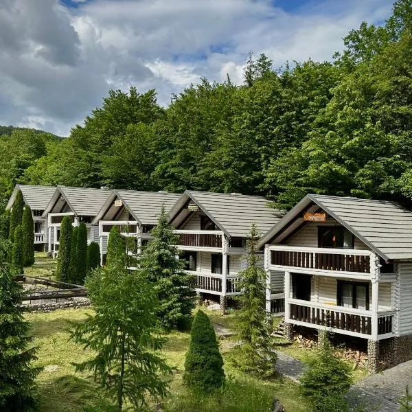 База відпочинку Forest Stream, hotel em Svalyava