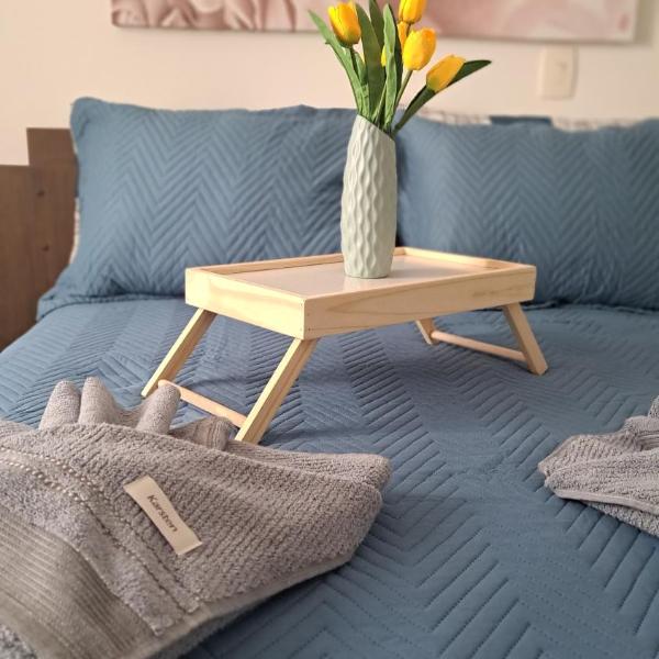 Tulipa - Foto 2