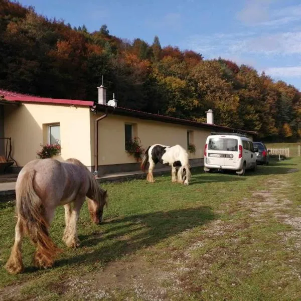 Oddychový pobyt na rodinnej farme, hotel in Valkov