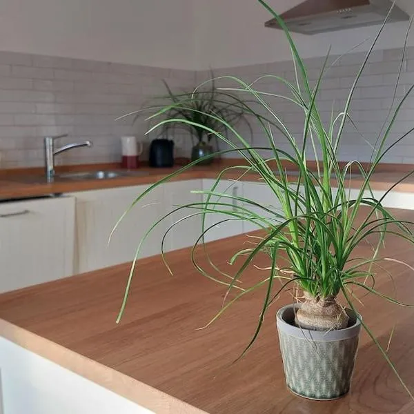 Ferienwohnung Stern, hotel din Unterthingau