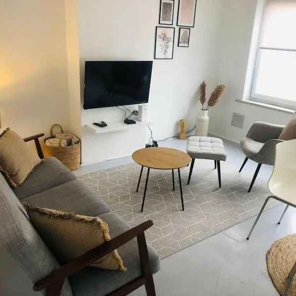 Ground Floor Apartment/Wi-Fi+Free Parking, hotel in Ostend