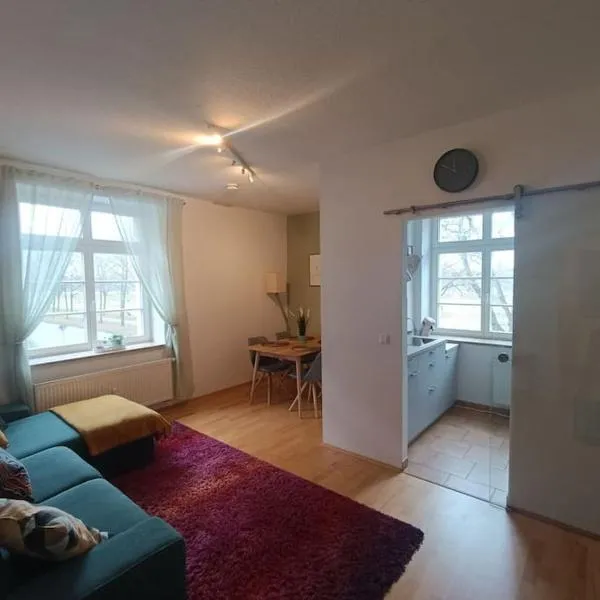 FeWo an den Elbwiesen neben der Altstadt, hotel in Dresden