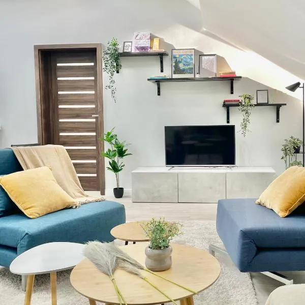 Spacious ultracentral modern apartment、トゥルグ・ムレシュのホテル