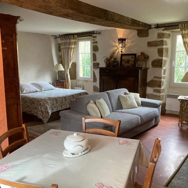 Le gîte d'Etienne, hotel in Joué-du-Bois