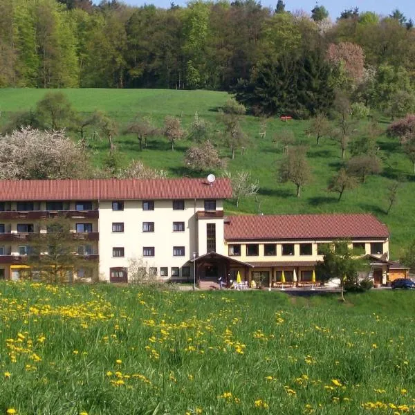 Dornröschen, hotel en Höchst im Odenwald