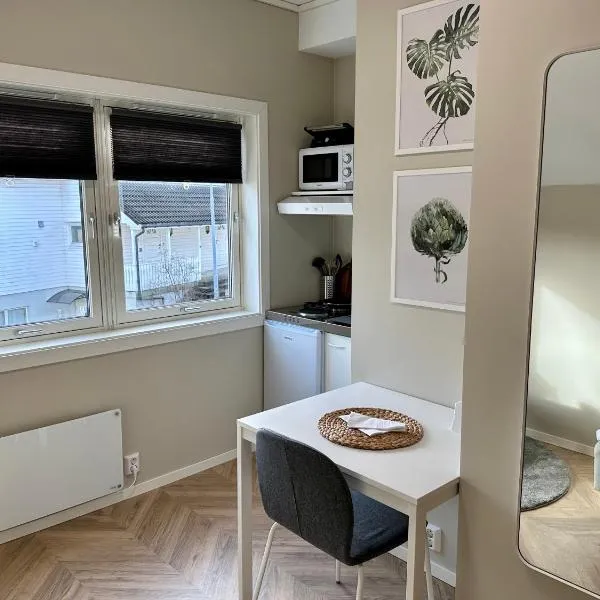 Modern Central Apartment Apt 203 Studio, hotel u gradu Stavanger