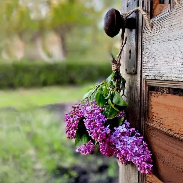 Lillac Cottage, hotel ad Ancona