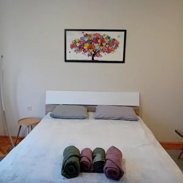 Apartman A-1、ザイェチャルのホテル