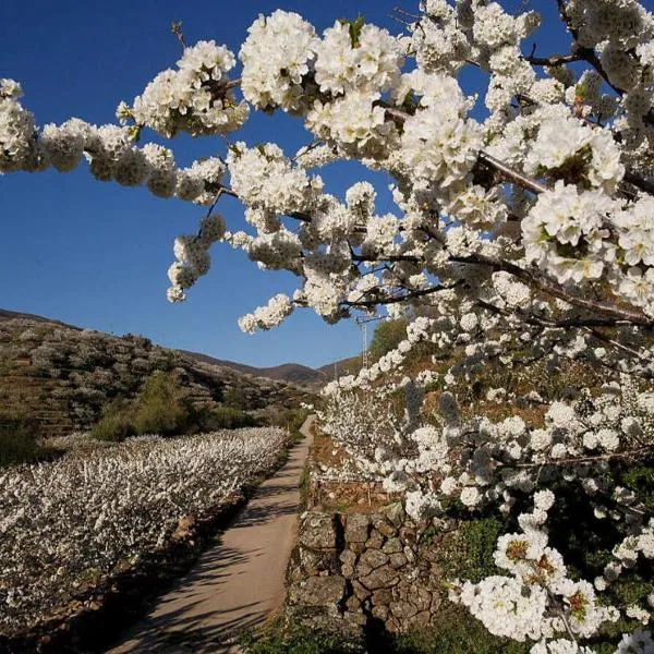 CASA RURAL ARBEQUINA, Primavera en el Valle del Ambroz, hôtel à Jarilla