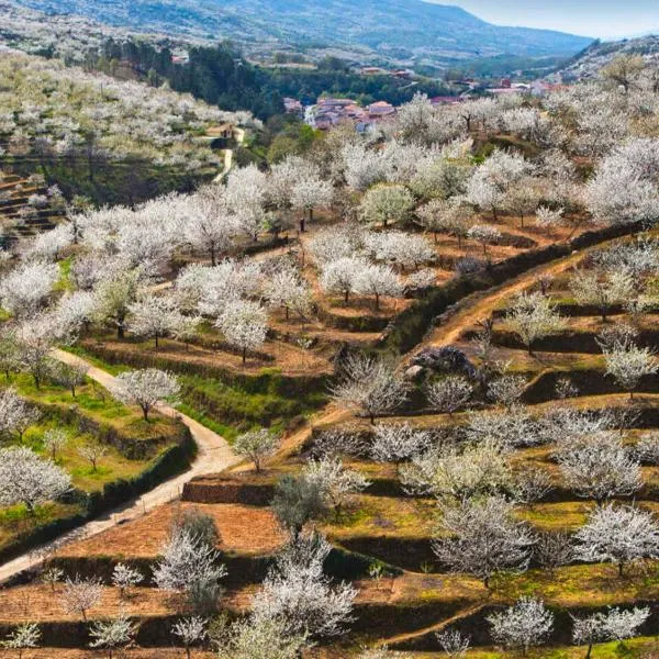 Casas Rurales Acebuche, Primavera en el Valle del Ambroz, hotell i Jarilla